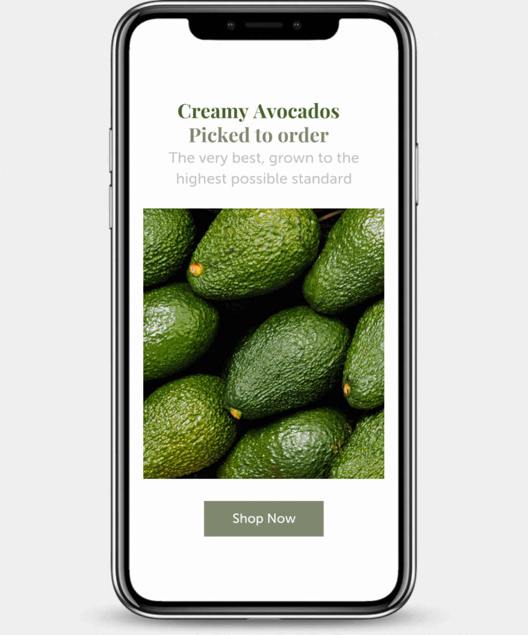 Oakridge Fresh - Happy Hank Media - Instagram Stories with call to action