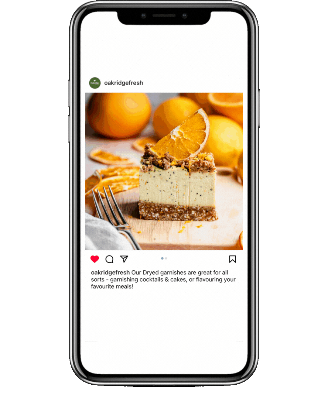 digital marketing services tauranga food and beverage social media agency