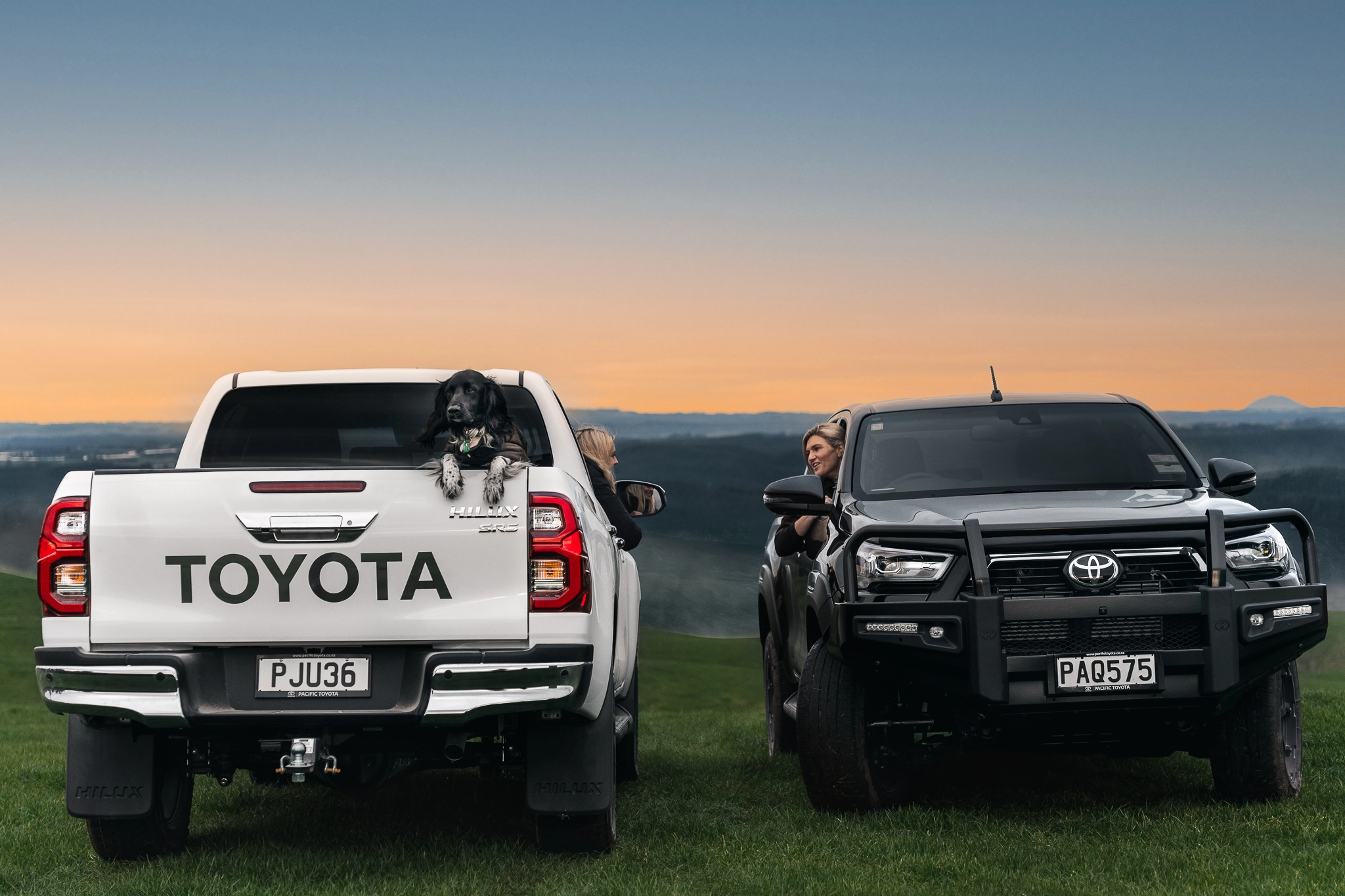 Automotive Social Media Marketing