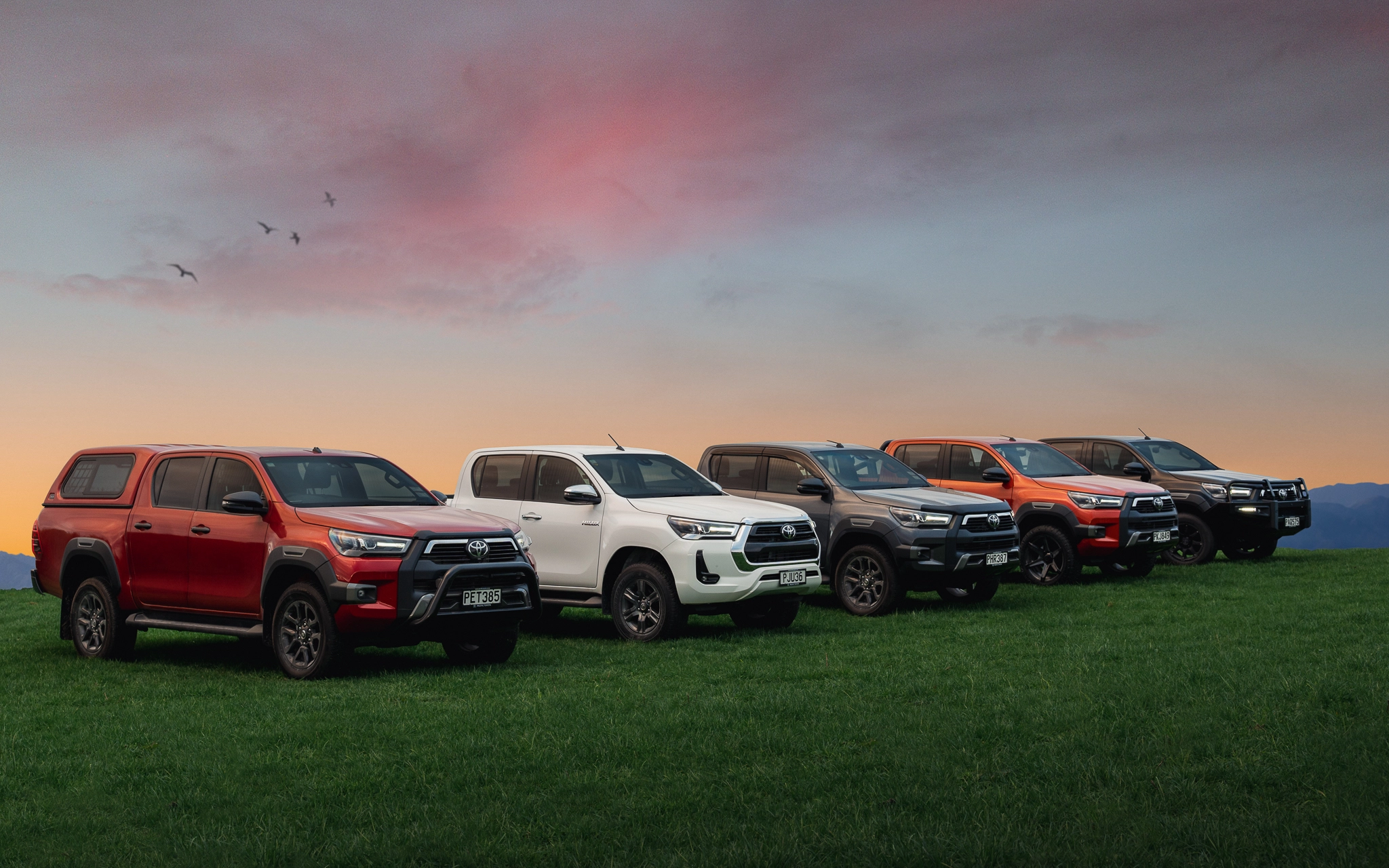 Automotive Marketing Company New Zealand